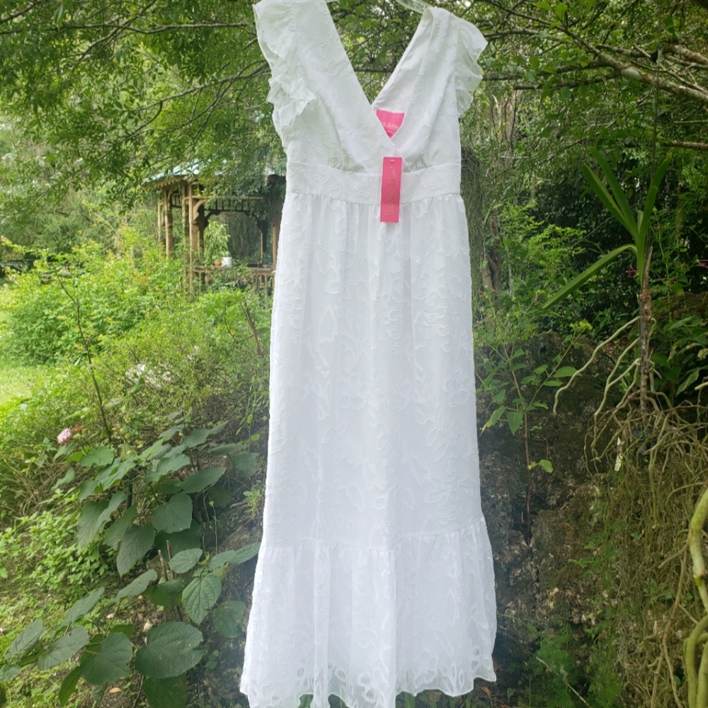 NWT Lilly pulitzer chiffon maxi dress with jewl accents